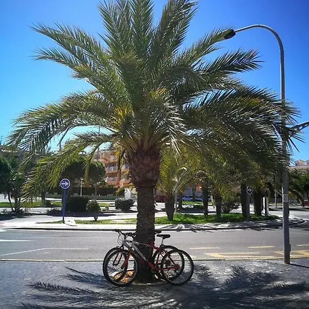 Alas Del Mar. La Manga del Mar Menor