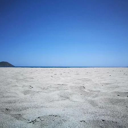 Alas Del Mar. *
