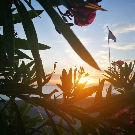 Alas Del Mar.